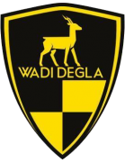 Wadi Degla FC crest