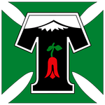 Escudo de Deportes Temuco