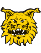 Ilves Tampere harjanne