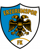 Erzurumspor FK arması